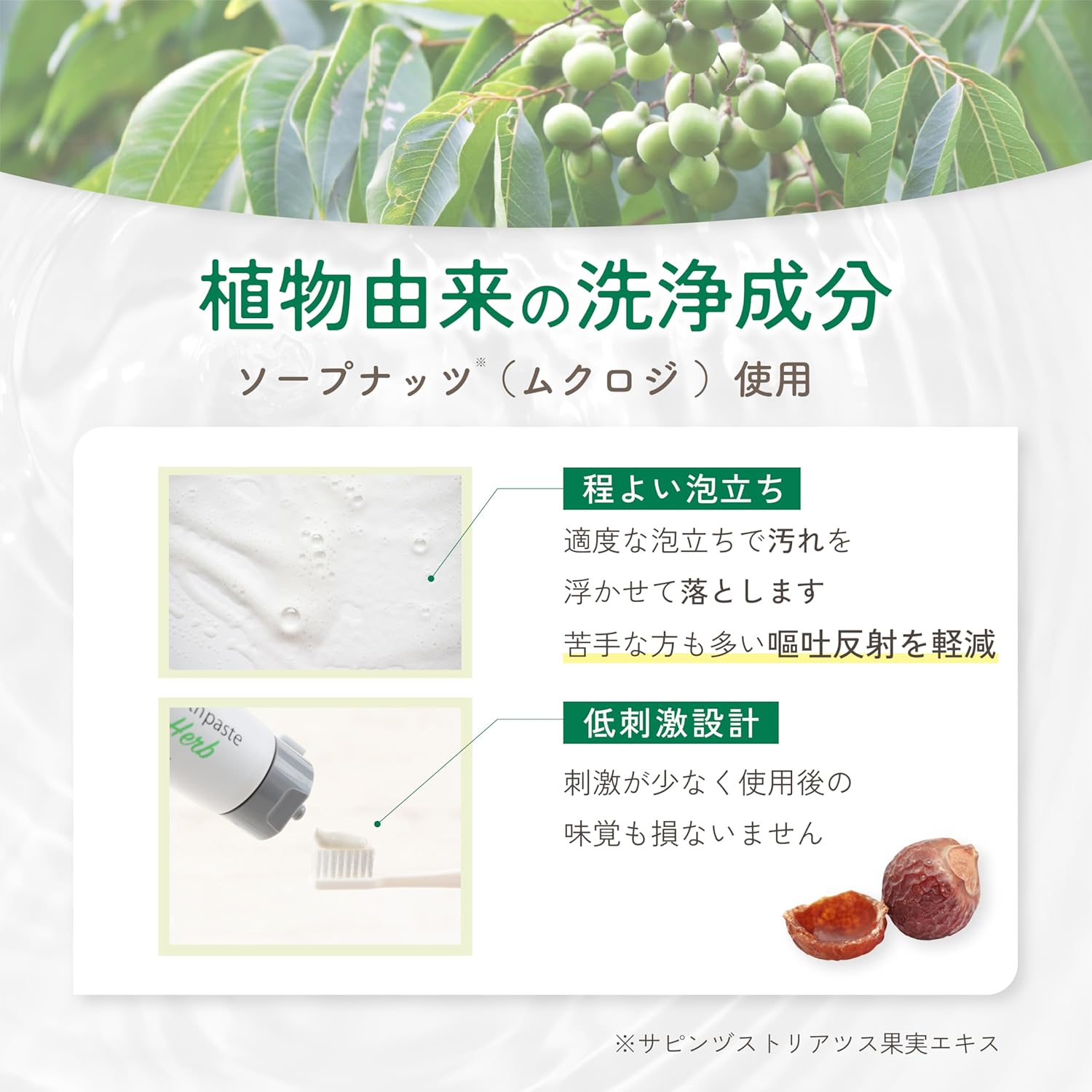 無添加歯磨き粉 メイクブレス MAKE BREATH 歯磨き粉 100g レモンハーブの香り 合成界面活性剤不使用 合成香料不使用 エチケット 潤い