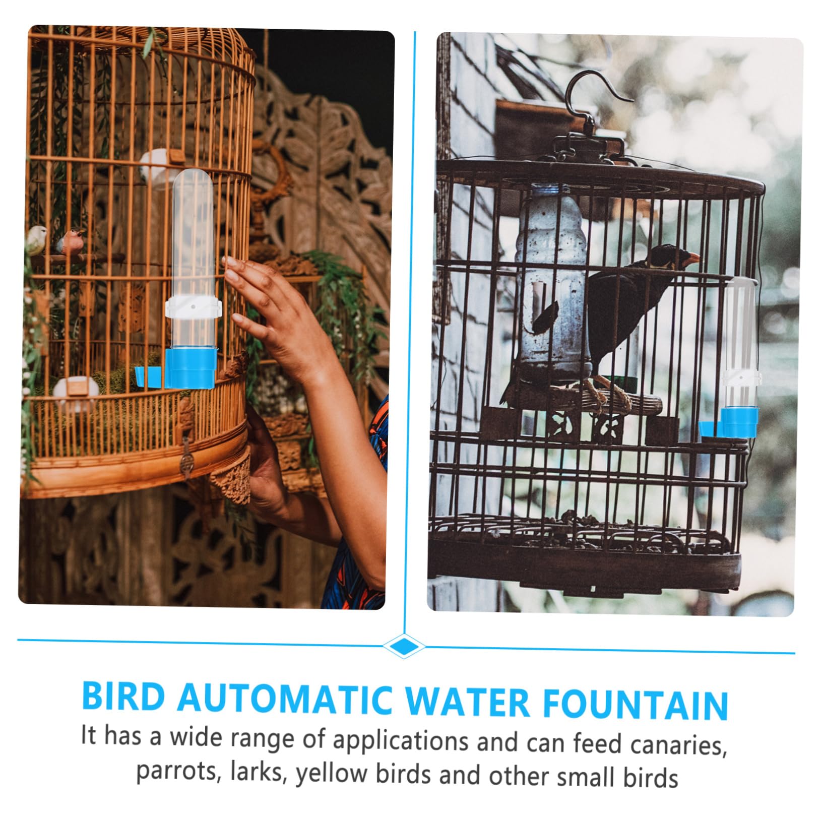 Toddmomy 10piezas Bebedero Automático para Pájaros De Botella Plástica para Alimentación De Dispositivo De Agua para Aves Accesorios De Jaula para Periquitos y