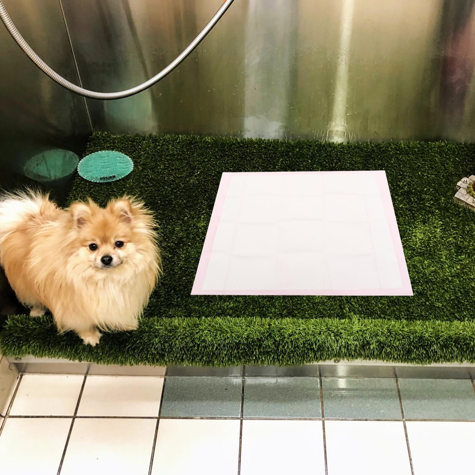 TOYANDONA 40 Piezas Empapadores Desechables para Perros y Gatos de Entrenamiento Absorbentes y Resistentes para Casa y Color Rosa para Cachorros y Mascotas Adultas