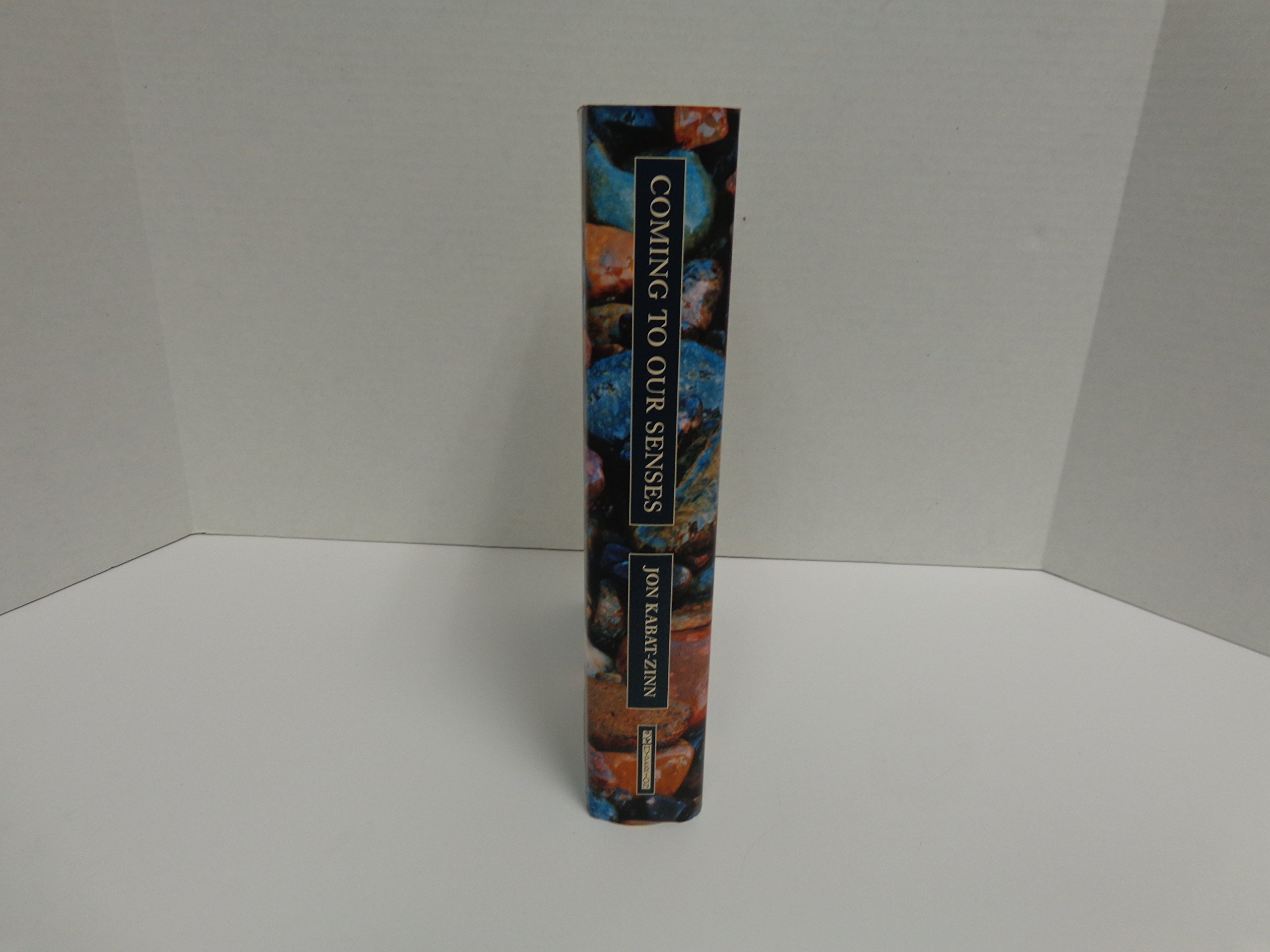 Coming to Our Senses: Healing Ourselves and the World Through Mindfulness - Image 2