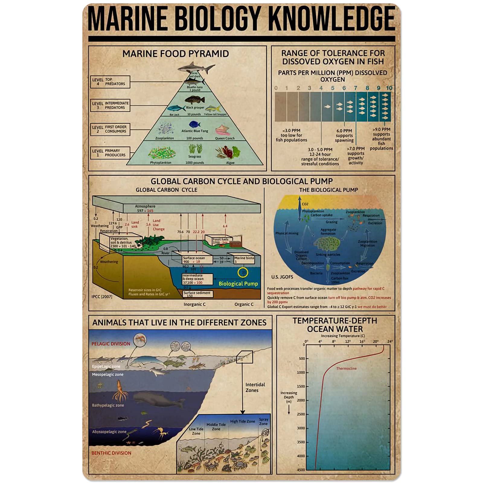 peiyeety Marine Biology Knowledge Metal Sign Education Chart Tin Poster Club Decor Bedroom Decor Home Decor Plaque 8" x 12"