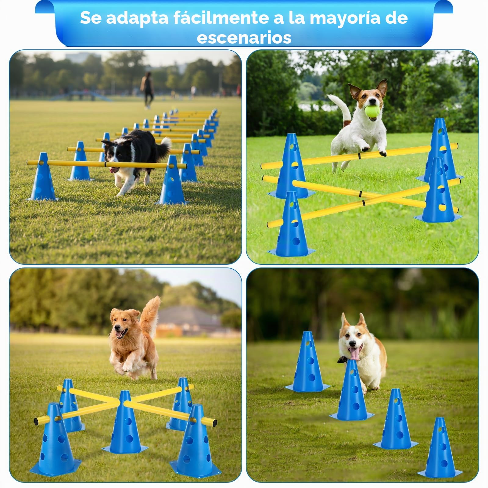 Juego de Agilidad para Perros, 8 Conos (24cm) + 4 Barras (81cm), Juego de Obstáculos Niños, Set de Obstáculos Ajustable en Altura para Entrenamiento Canino, Fútbol y Coordinación