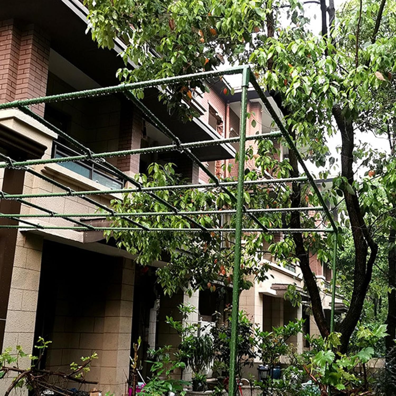 View 3