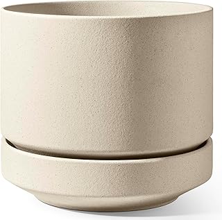 LE TAUCI Large 14 Inch Plant Pot with Saucer | Ceramic Outdoor & Indoor ...