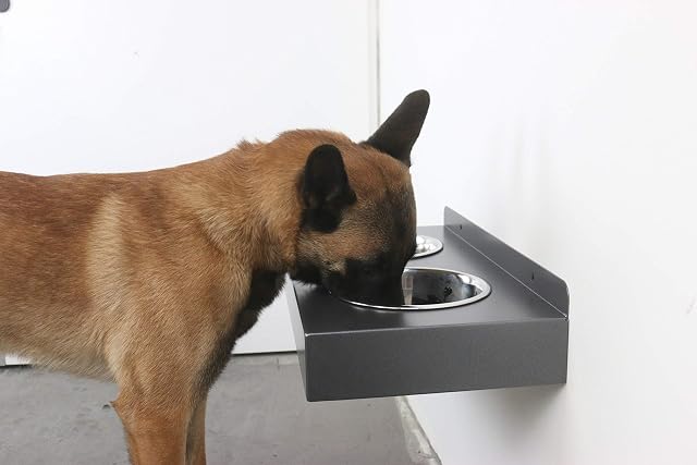 Fabricios Elegante comedero colgante para perros para la pared de metal con 2 comederos de acero inoxidable…