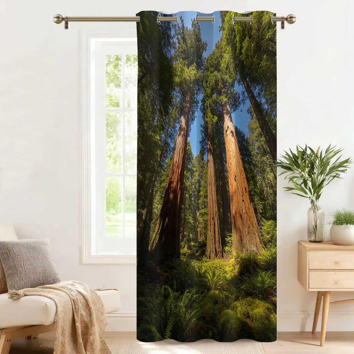 Tenda Divisoria Interna 3D Sequoia Gigante 140 x 200cm | Pannello Oscurante e Termico per Porta e Finestra Foresta Tropicale, con Occhielli per Camera, Soggiorno e Armadio