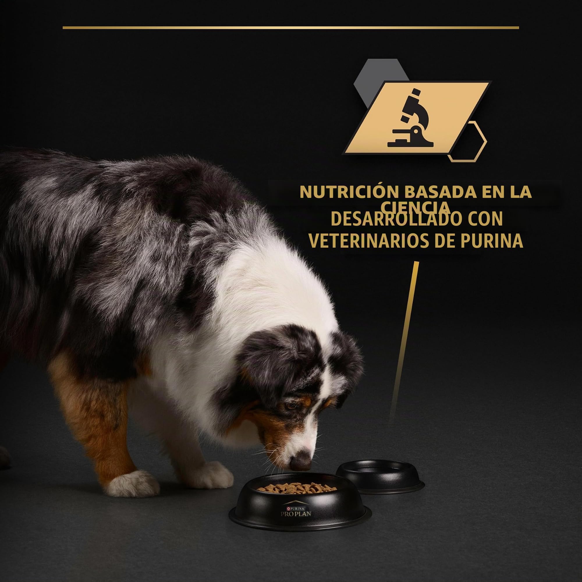 Pro Plan Comida Húmeda perro trozos gelatina Pescado 12x400 g