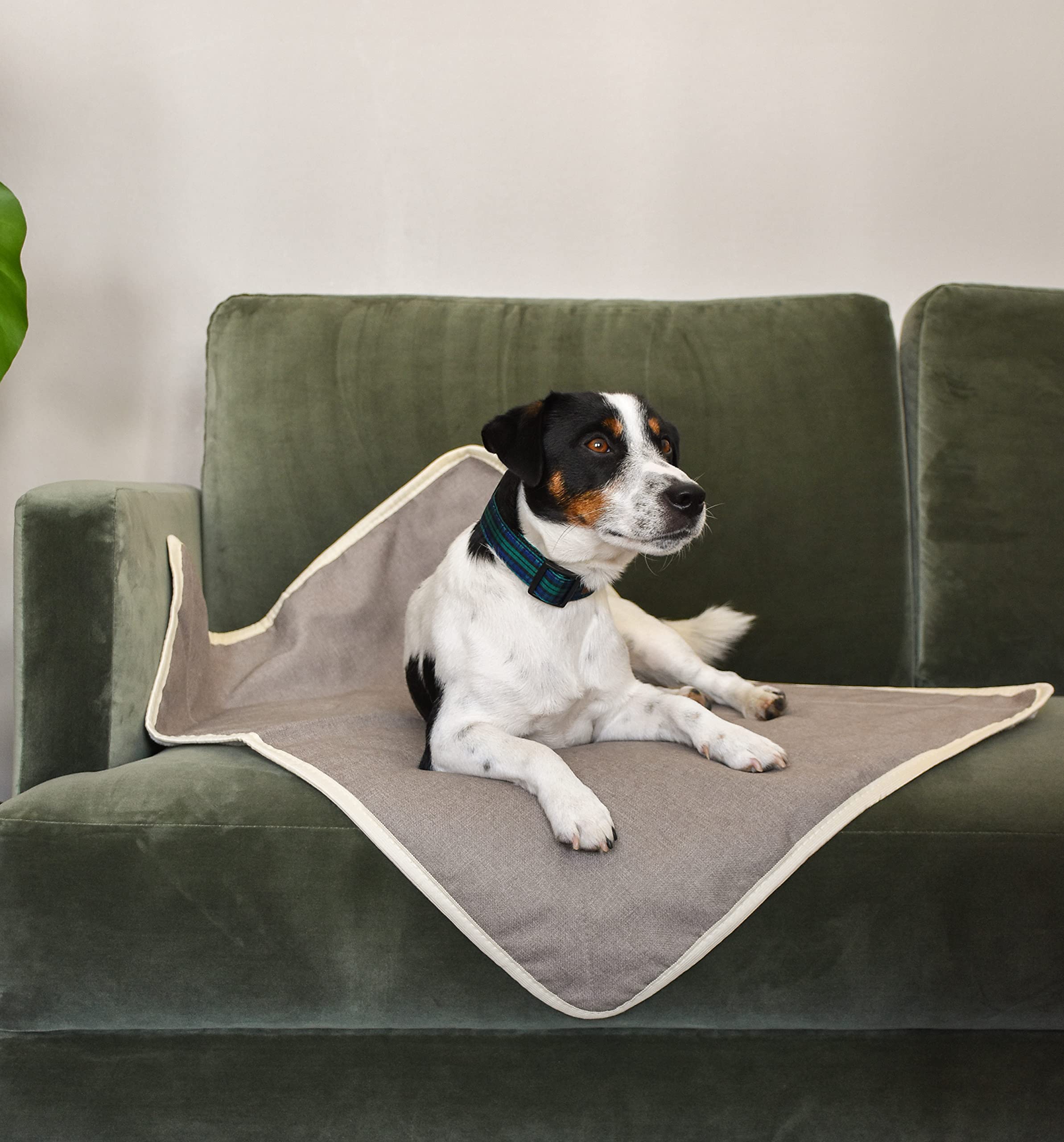 Sleepy Fox® Snuggle - Manta para Gatos y Perros con Forro Polar Sherpa (60 x 80 cm), Color Beige