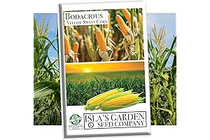 Bodacious Sweet Corn Seeds