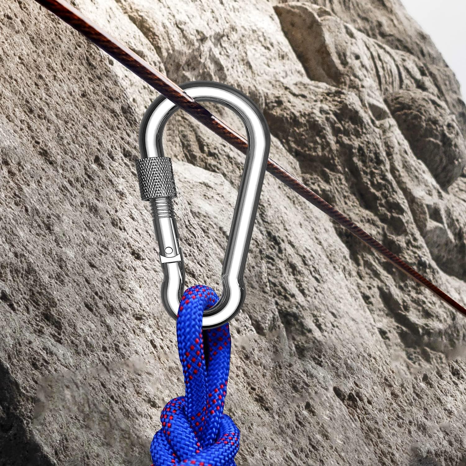 SpotDoo Locking Carabiner Clips, 304 Stainless Steel Heavy Duty Locking Carabiner Spring Snap Hook : Sports & Outdoors