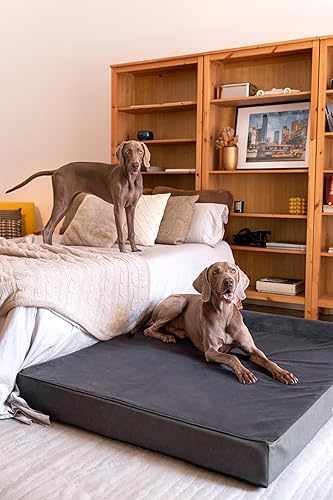Miniatura 8 de NOAH & PAW Cama gigante para perros XXL de 55 x 45 x 11 pulgadas, camas ortopédicas para perros, espuma viscoelástica de cáscara de huevo con gel