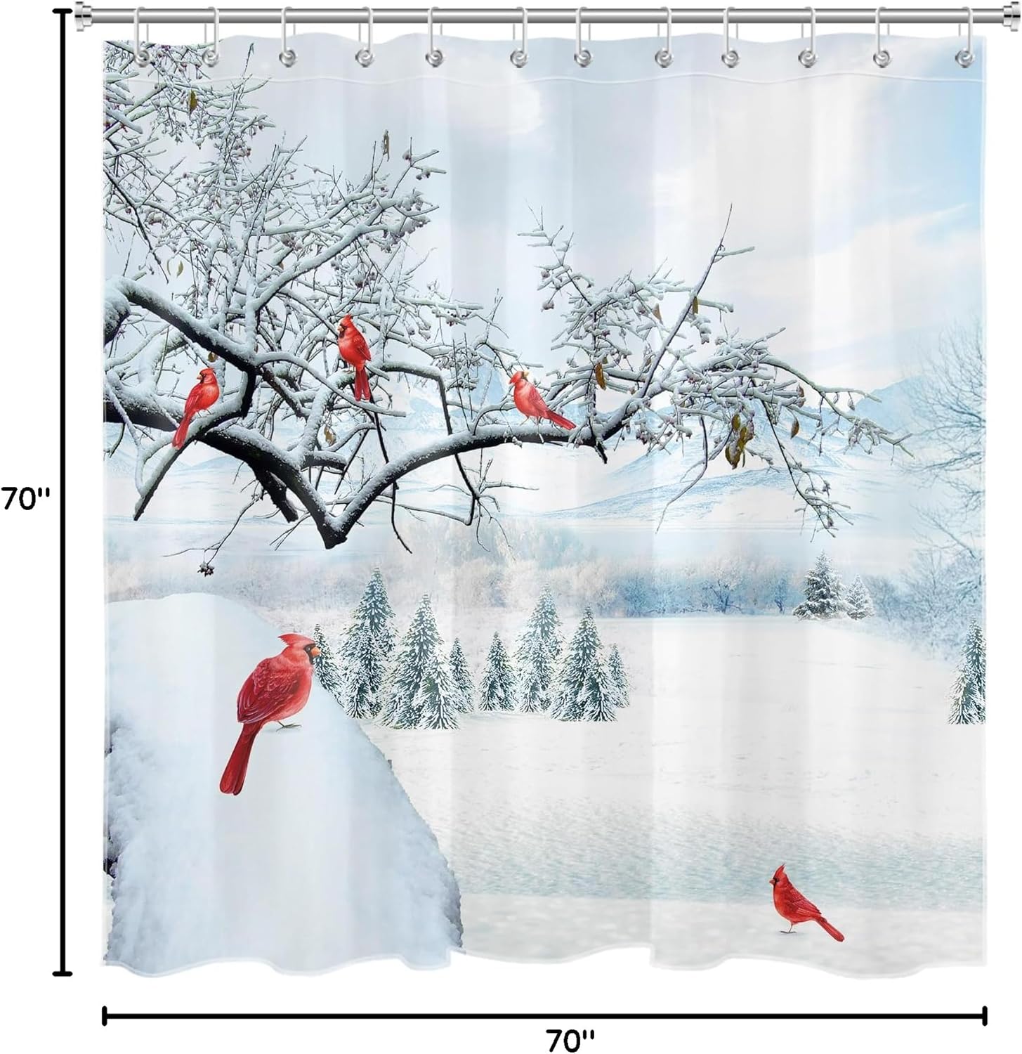 HVEST Winter Shower Curtain & Bathroom Rug Set, Cardinal on Branch Christmas Pattern, 70L x 70W Inches, Snowy Mountain Scene