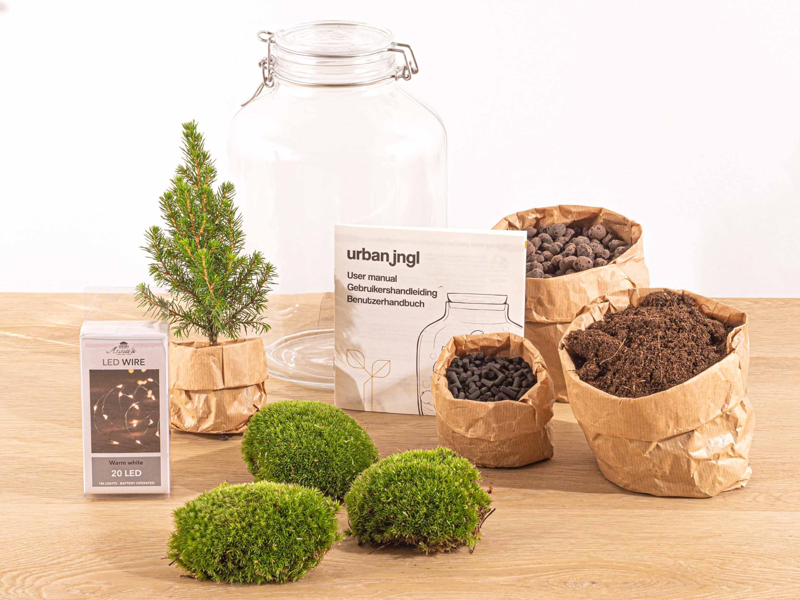 urbanjngl - Planten Terrarium im Glas - Weihnachtsbaum - Selbstregulierendes Ökosystem - Höhe 28 cm - Dekoratives Pflanzenarrangement für Ihr Zuhause