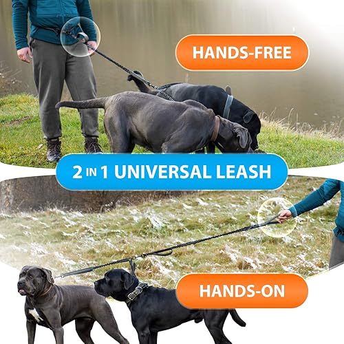 Miniatura 6 de SparklyPets - Correa doble para perros con manos libres  Correa doble para perros medianos y grandes  Correa para perro para 2 perros con asas