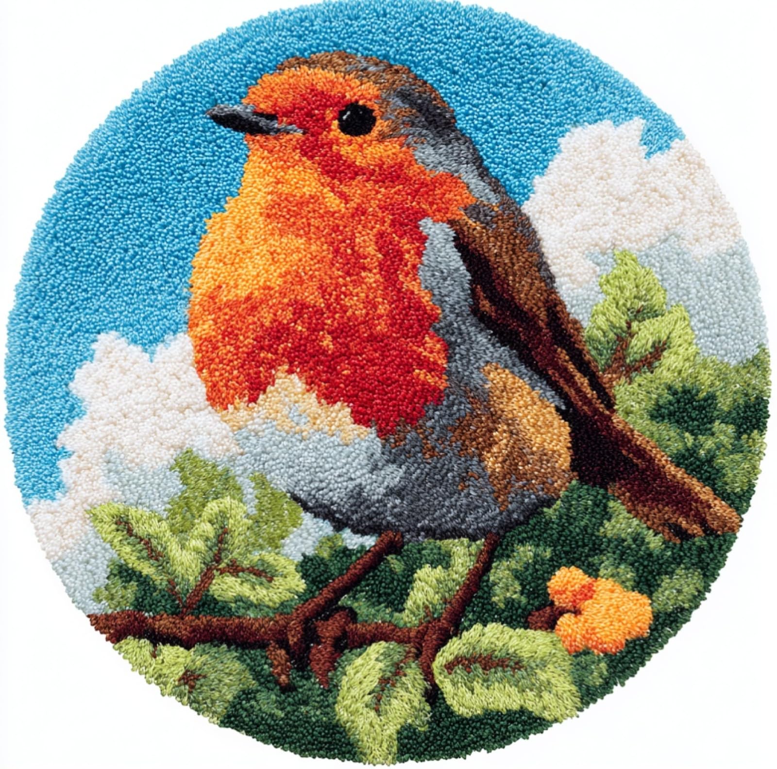 WallustrioaW Crochet Rug Making Kit for Adults,Robin on a Branch,DIY Needlework Crafts for Home Decor,Latch Hook Kits Gift for Beginners Kids,50x50cm