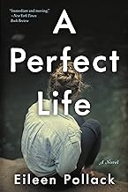 A Perfect Life: A Novel