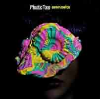 Amazon.co.jp: アンモナイト(初回限定盤)(DVD付): ミュージック