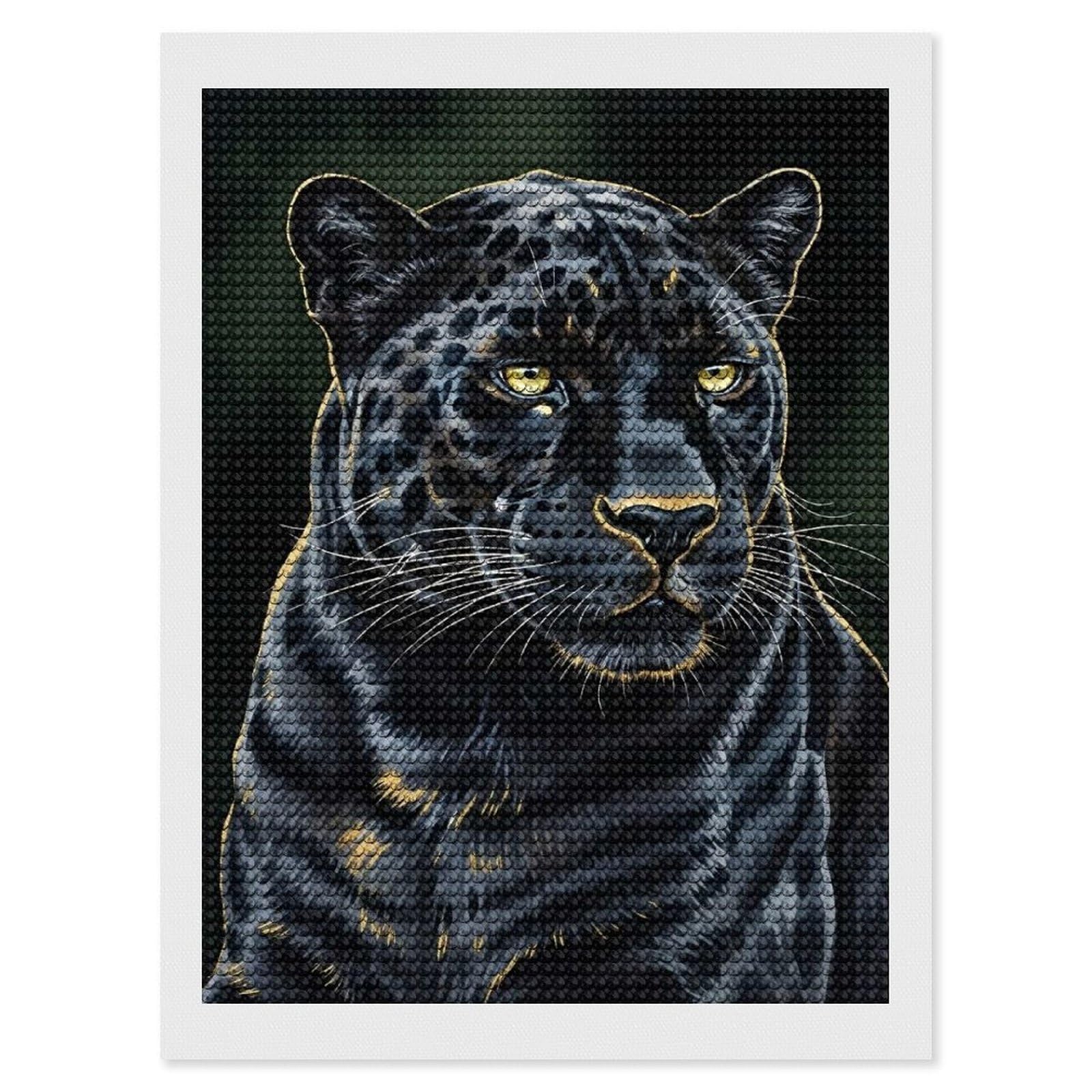 Junmoney Black Panther Portrait Diamond Painting Set 12"x16", for Beginners, Modern Decor, Simple to Start, Gift Idea, Pleasing Wall Art Project