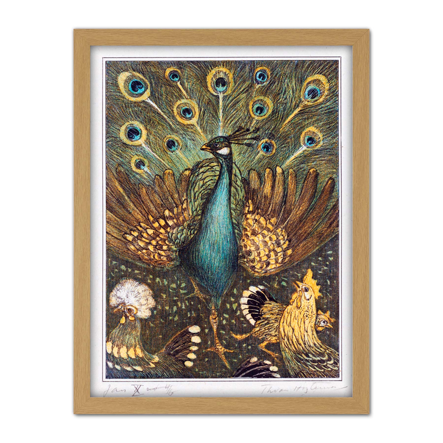 Artery8 Hoytema Peacock Chickens Birds Drawing Artwork Framed Wall Art Print 18X24 Inch