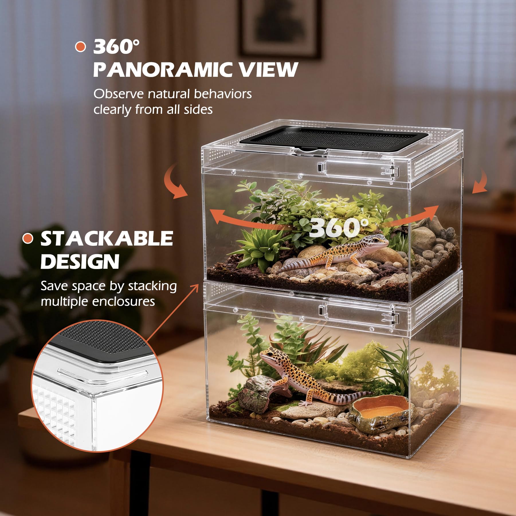 AZV Terrario para Reptiles, Tanque de Reptiles de 15 x 8 x 10 Pulgadas, Kit de Inicio de Tanque de isópodos Anfibios con Hamaca de dragón Barbudo, lámpara de Calor, Cueva Oculta para gecos lagartos