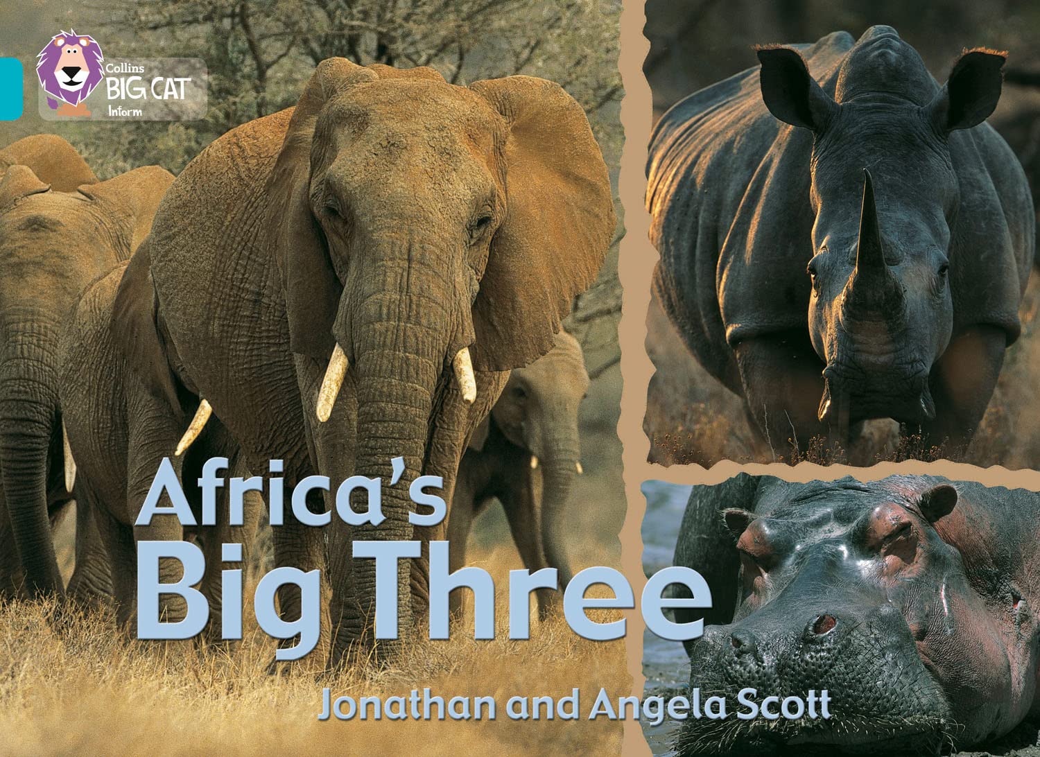 Africas Big Three : Band 07/Turquoise