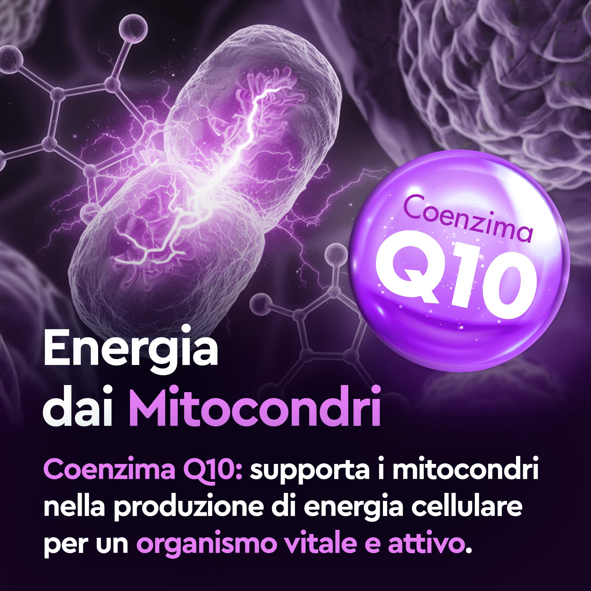Graal Coenzima Q10 Migliore - Ubidecarenone (forma ossidata dell'Ubiquinolo) Naturale per Energia Cellulare, Azione Antiossidante, Contro l'Invecchiamento Cellulare e lo Stress Ossidativo