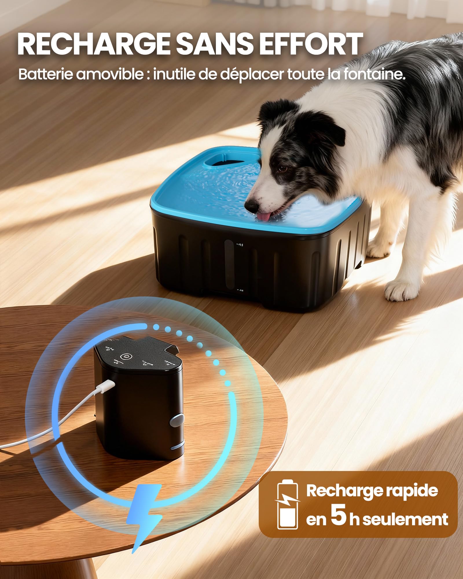 Kittyspout Fontaine a Eau pour Chien sans Fil, 8L Fontaine Chat/Grand Chien avec Détecteur de Mouvement, Fontaine pour Chiens avec Batterie 4000mAh (Cyan)