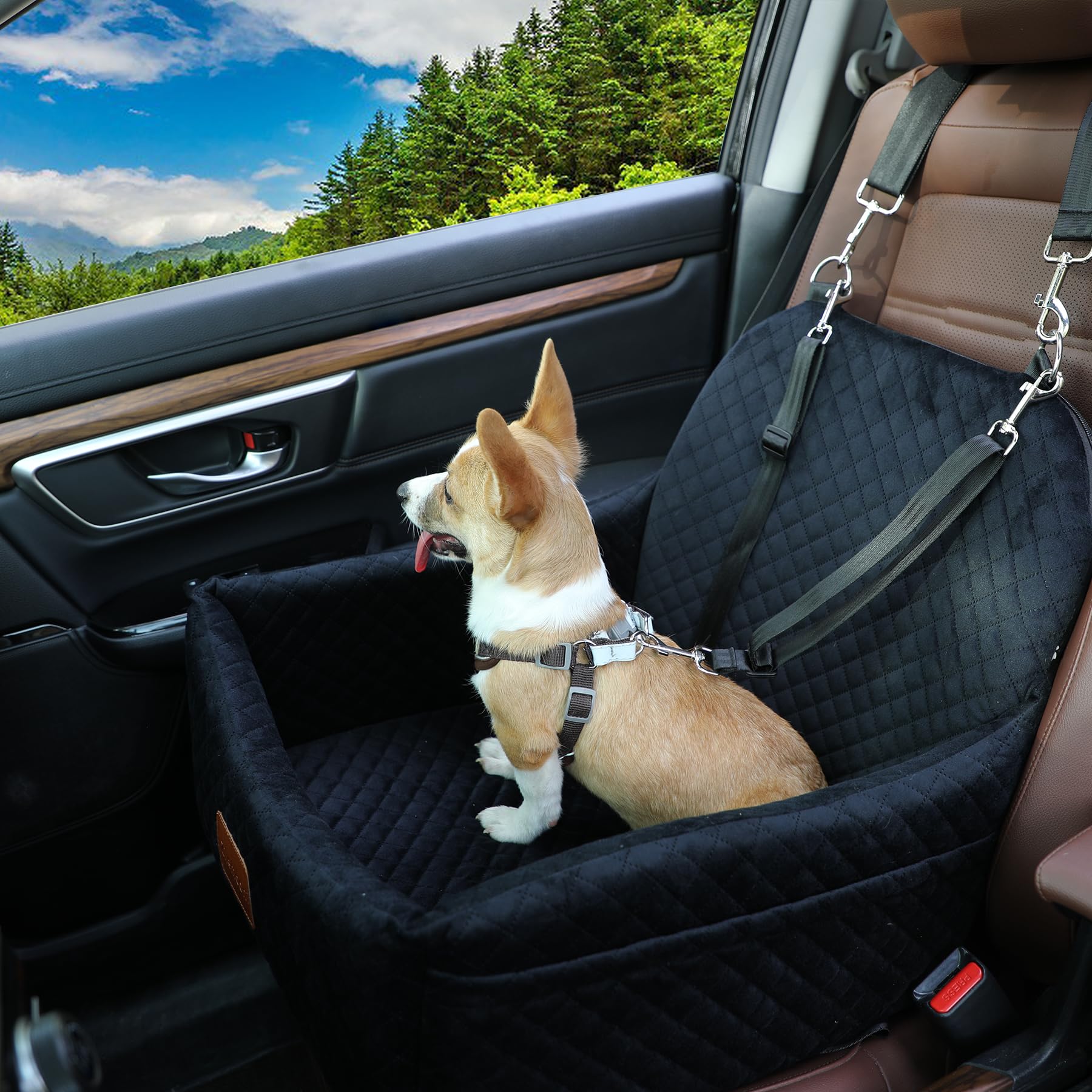 Car Seat Dog Car Booster Seat With Safety Leashes For Small Dogs - Main Image