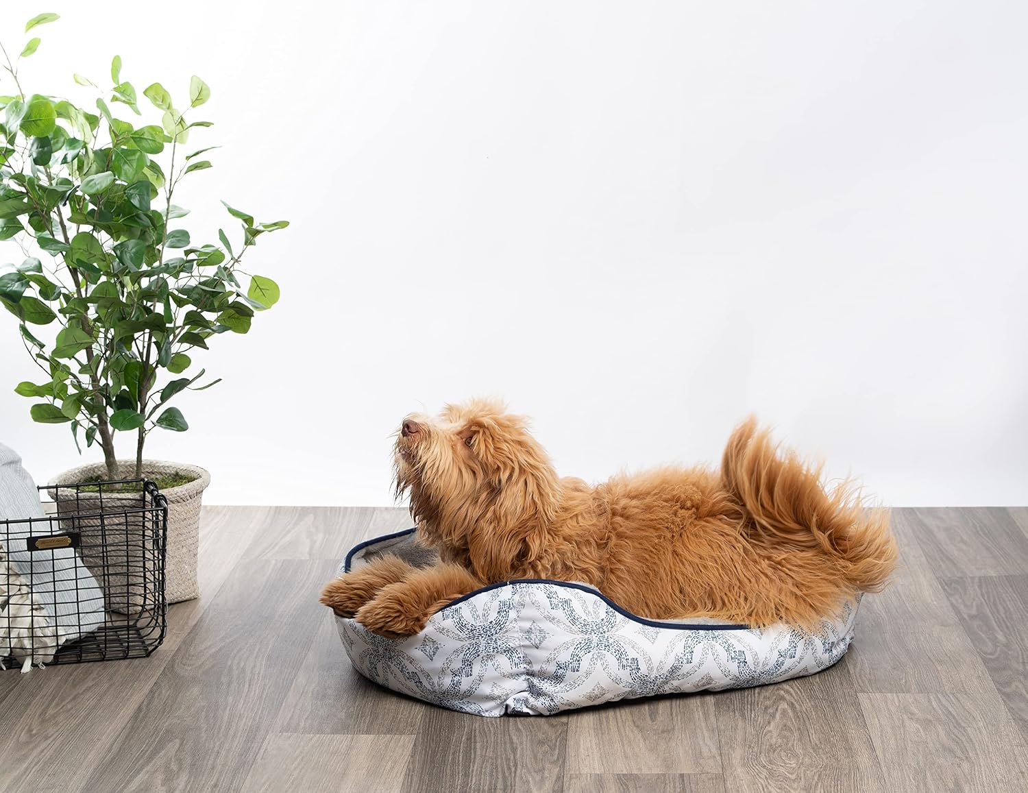 Modern Threads - Luxury Dog Bed - Oxford Printed Plush Cuddler for Small to Medium Dogs - Machine Washable - Pamper Your Pet with Cozy Beds - Dani, Blue
