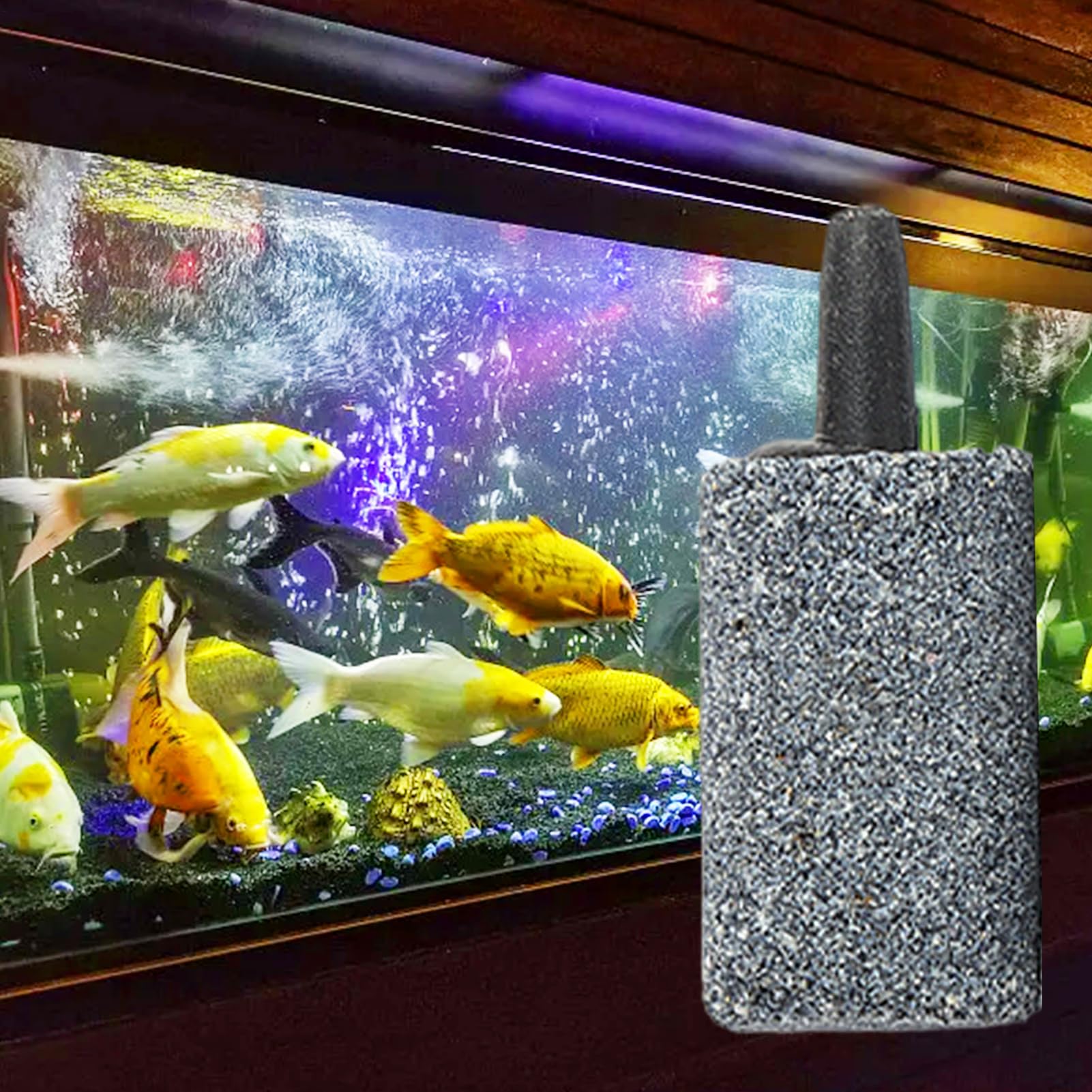 Kamienie Napowietrzające Do Akwariów 60 Sztuk Dyfuzor do Pompy | Aerator Kamienny Do Zbiornika Rybnego Do Terrarium Stawu Ogrodu Biura Domu Akwariów Słodkowodnych I Morskic