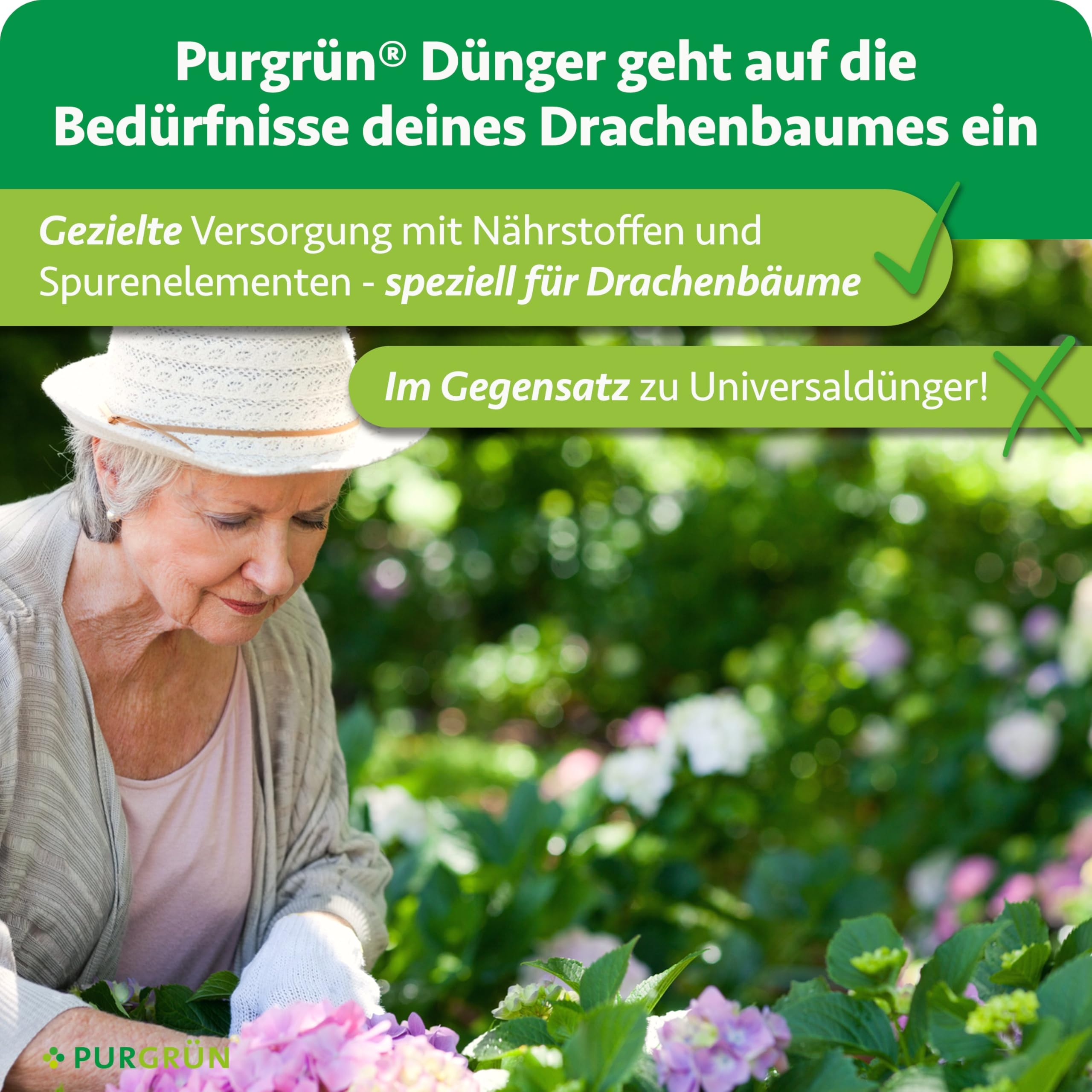Drachenbaum-Dünger 1 Liter – Schnell wirksame mineralische Rezeptur – Premium-Flüssigdünger mit Spurennährstoffen – NPK 10+4+6 – Stärkt die Widerstandskraft – Für leuchtend grüne Blätter