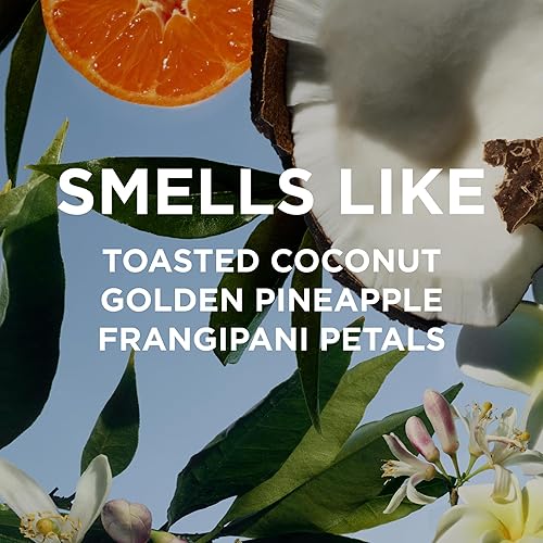 Miniatura 10 de By Rosie Jane Aceite de perfume (Dulce)  Perfumes limpios para mujer  Aceite esencial en bruma con notas de vainilla, madera de Hinoki, almizcle