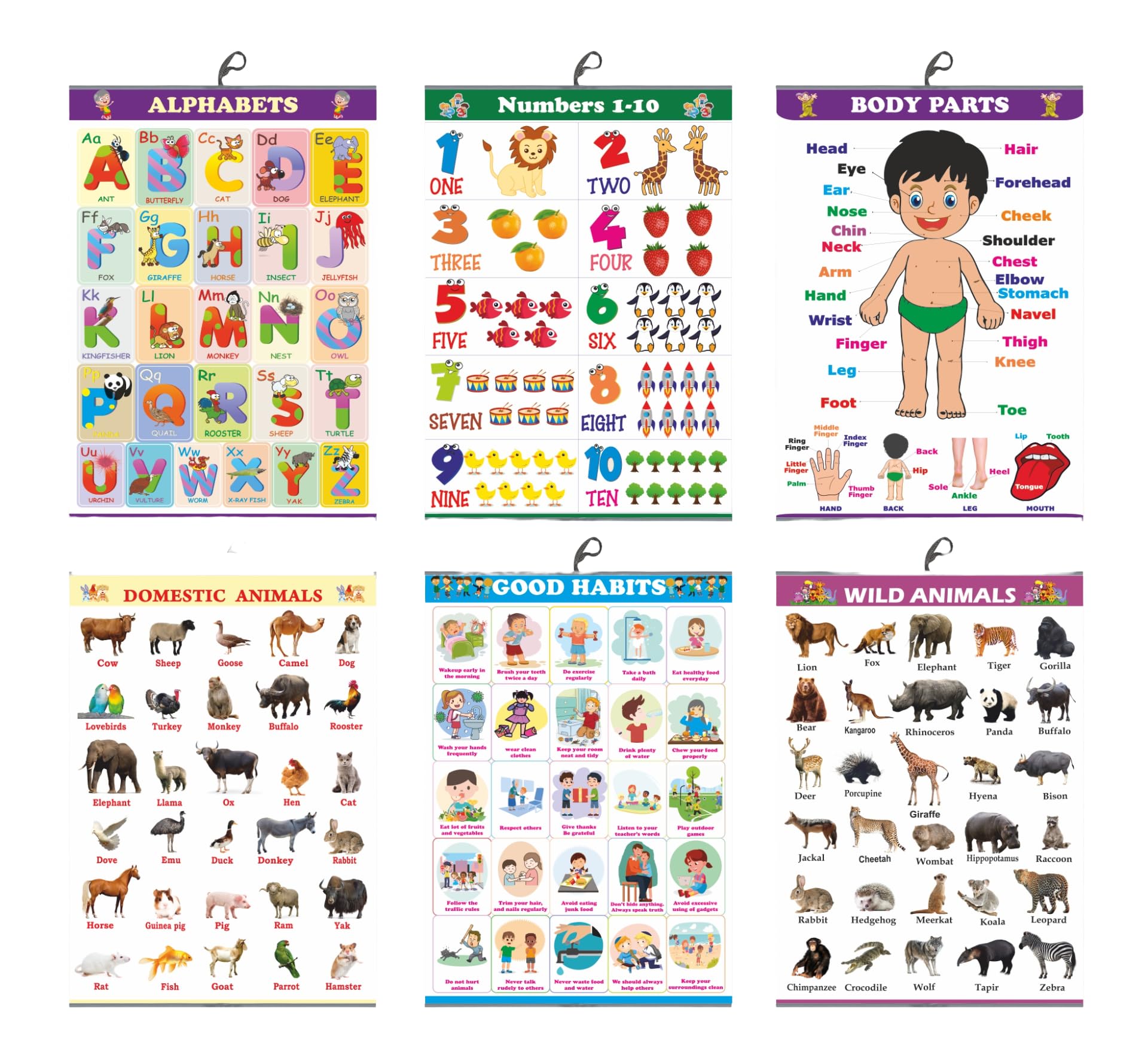 JERI PRINT Early Learning Educational Charts Set For Kids | 50x71 cm Big charts | Set Of 6 | Non-Tearable And Waterproof | Double Sided Laminated | Perfect For Homeschooling, (Multi)- (B0C7KZ45DV) Amazon Price History, Amazon Price Tracker