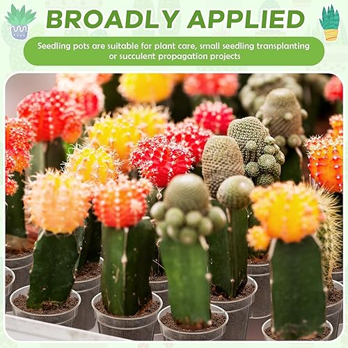 Miniatura 6 de Yaomiao 200 Piezas Macetas Mini de Plástico Transparente de 2 Pulgadas para Plantas de Vivero, Macetas de Semillero Iniciador de Semillas con