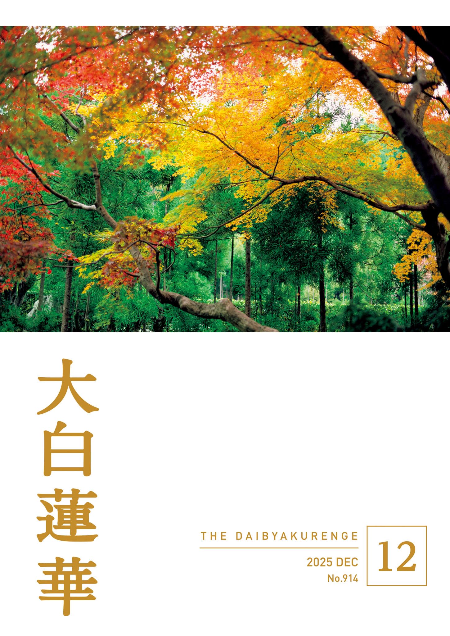 Amazon.co.jp: 大白蓮華編集部: 本、バイオグラフィー、最新アップデート