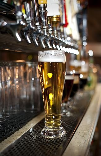 Miniatura 7 de Schott Zwiesel Tritan Brussels Pilsner - Juego de 6 vasos de cristal (13-12 onzas)