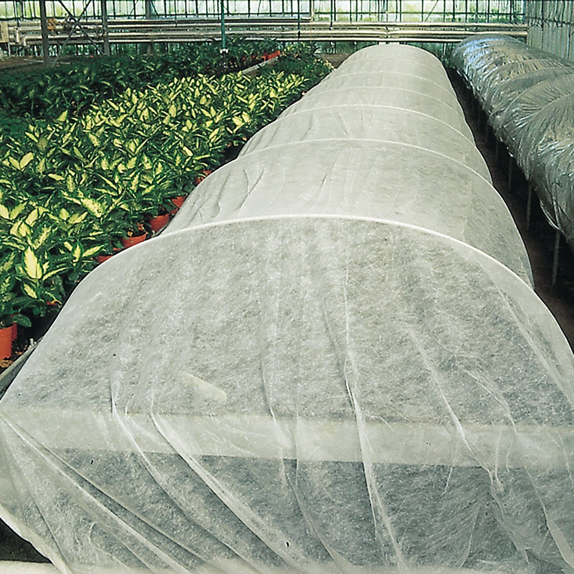 TENAX Ortoclima 1,60x500 m Blanco, Velo Protector Antihielo Ligero para Plantas y Cultivos, de TNT Tejido no Tejido Transpirable 17 g/m², Protege Plantas, Flores y Hortalizas del Frío y el Viento