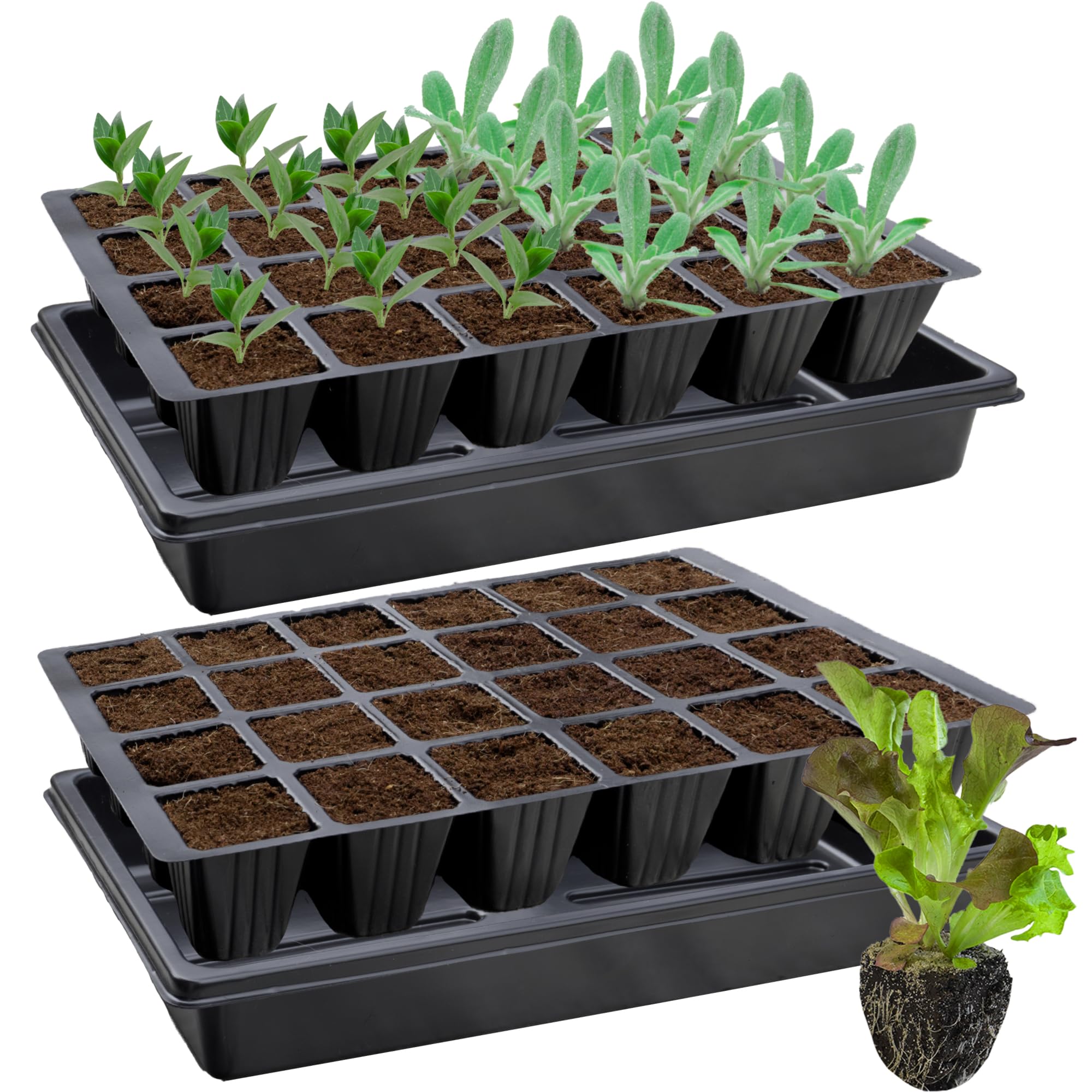 Lot De 2 Plaques De Culture 45 Trous Avec Soucoupes - Plateaux Semis 50mm Parfait Pour Boutures