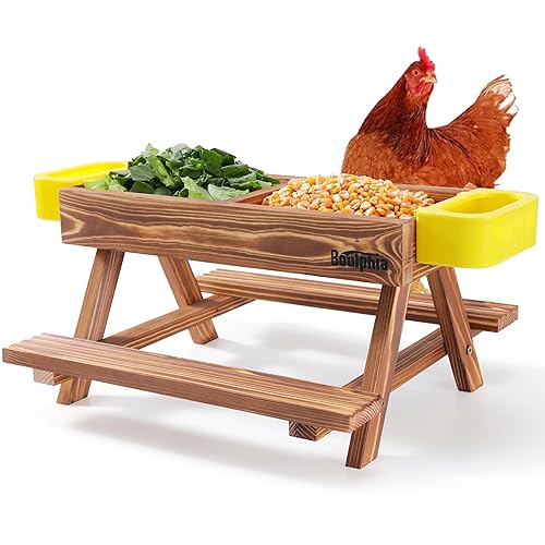 Chicken Feeders and Waterers, Chicken Feeder No Waste Kit with