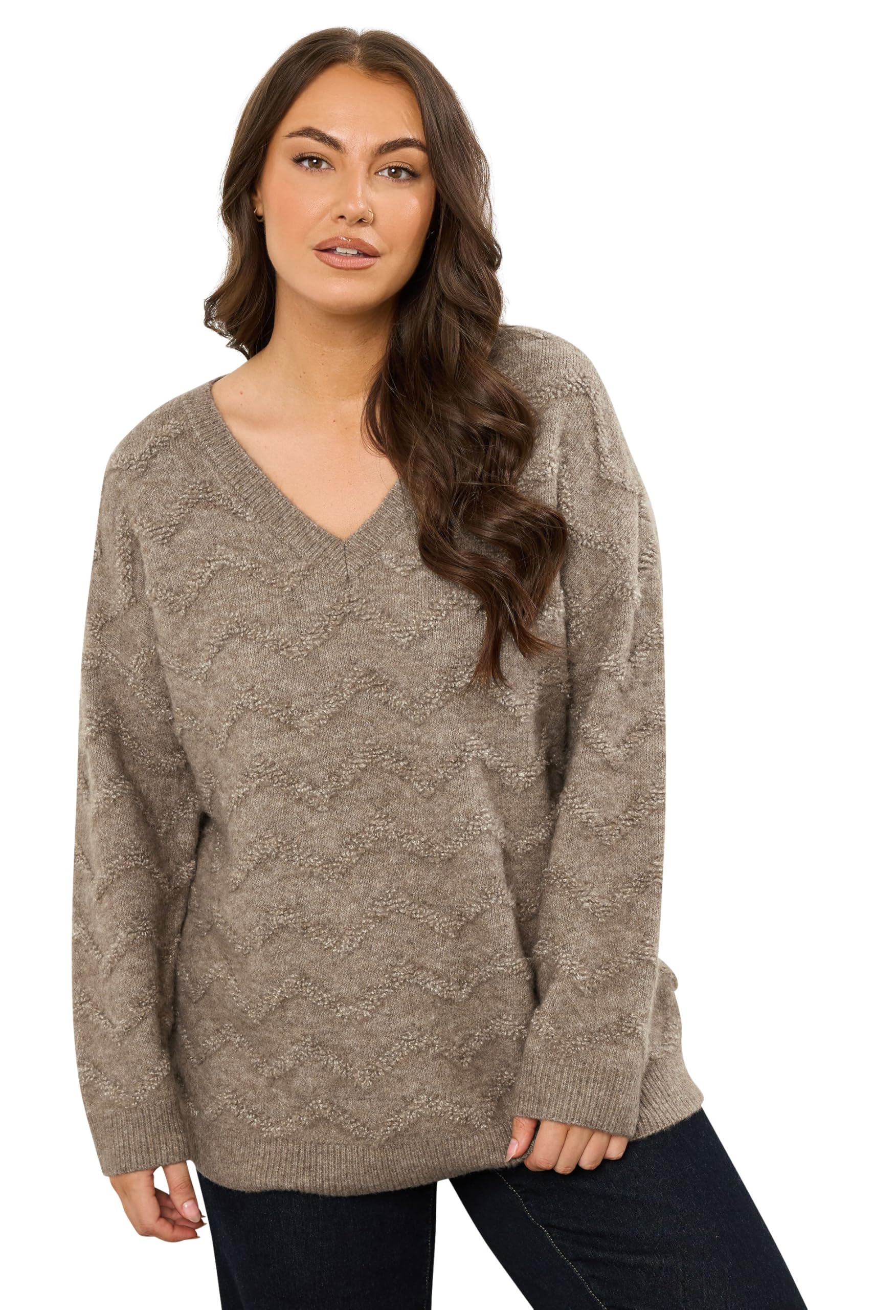 Evans Women's Brown Curve Natural Zig Zag V-Neck Knitted Jumper - Plus Size Curve