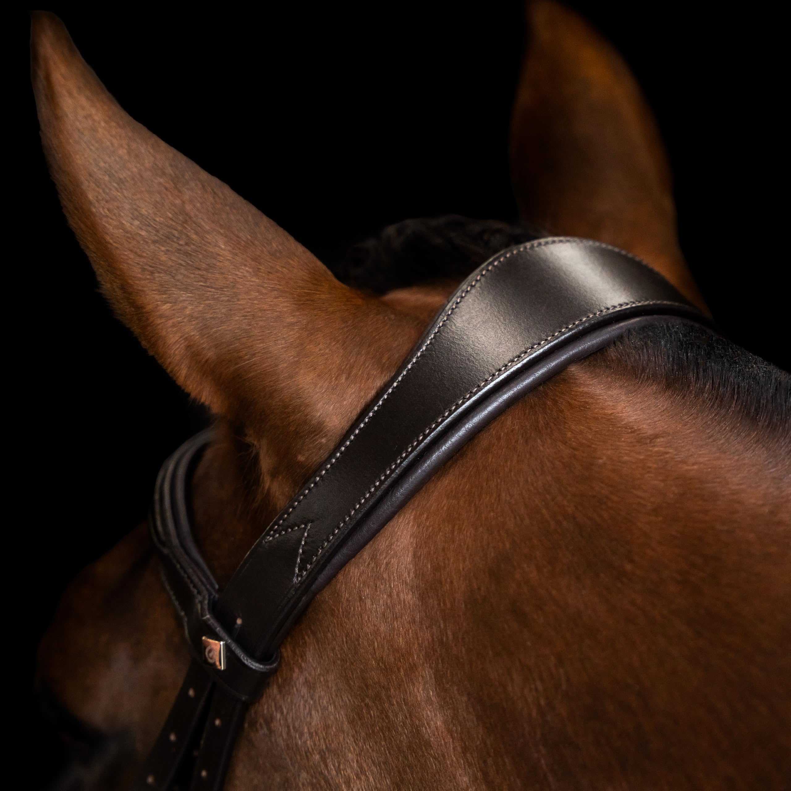 Imperial Riding Briglia IRH combina Sleek, Cavezza Inglese con Collo ergonomico e Cinghia di bloccaggio Rimovibile, Marrone, COB
