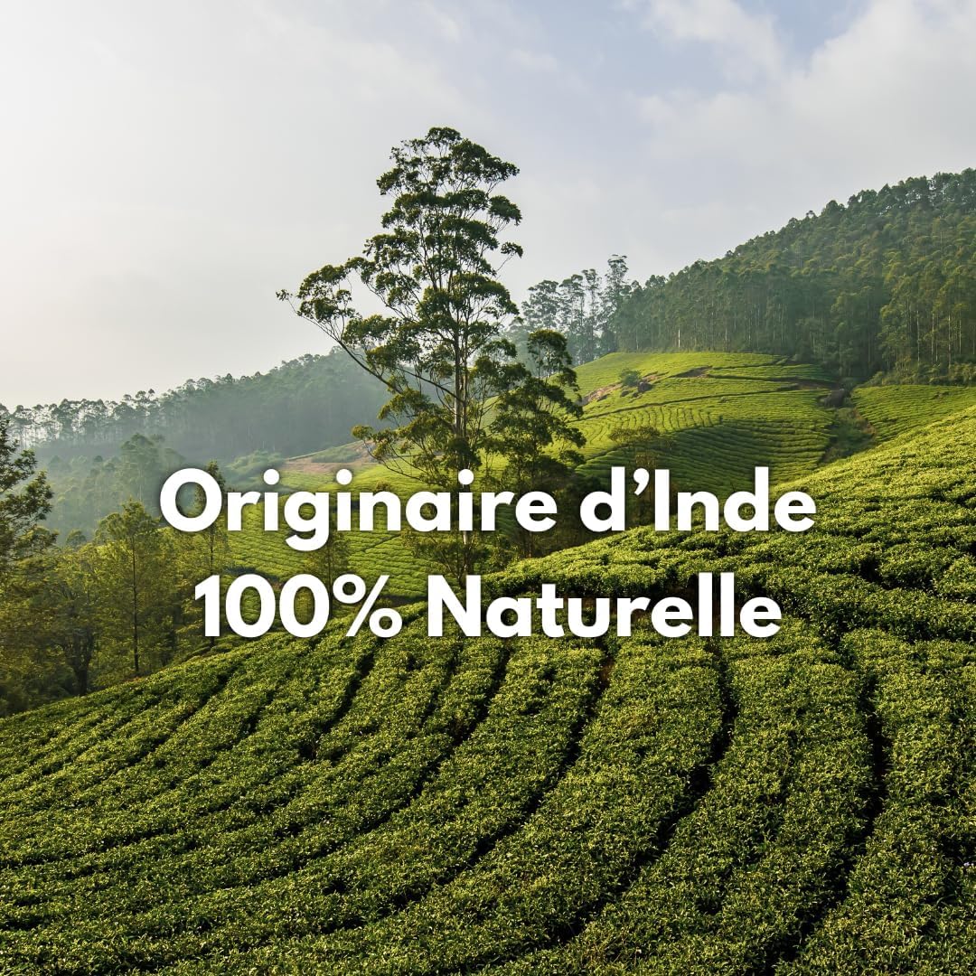 Feuilles de Séné Coupée, Origine Inde - Puissant Purgatif, Laxatif Naturel - Favorise le Transit Intestinal et le Nettoyage du Colon - Tisane Détox | Conditionnée en France, RUE DES PLANTES (1kg)