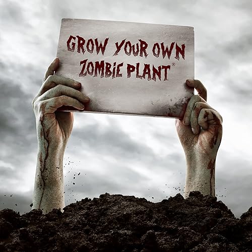 Miniatura 6 de Zombie Plant Party Favors (2) Plays Dead When Touched! Includes Soil, Seeds & Mini Flower Pot. Supplies for Zombie Themed Birthday. Plant it as a