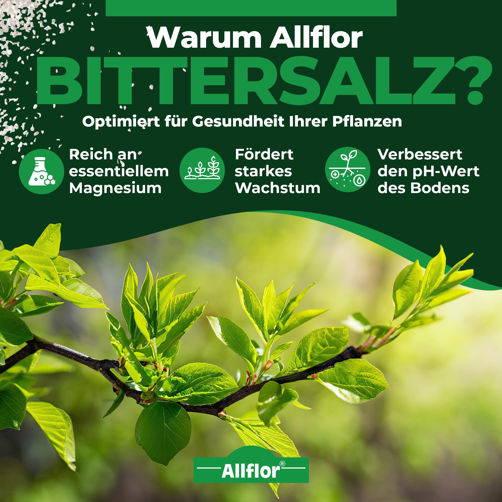 Allflor Bittersalz mit 16% Magnesium I 1 x 10 Kg I Bittersalz gegen Braunfärbung an Nadelbäumen und Hecken I Salzdünger für Blattgrünbildung I Zur Blatt- und Bodendüngung