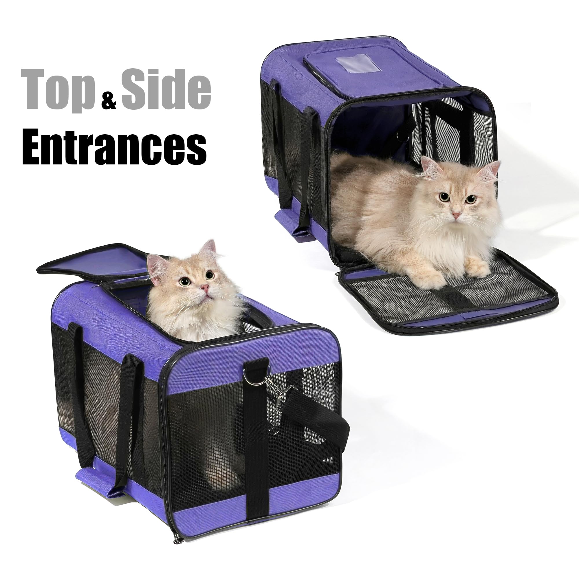 Hitchy Sac De Transport Chat/Sac De Transport Chien pour Chats, Petits Chiens, Chatons Ou Chiots, Souple et Pliable avec Tapis en Laine pour Voyage en Voiture et Train Violet (M)