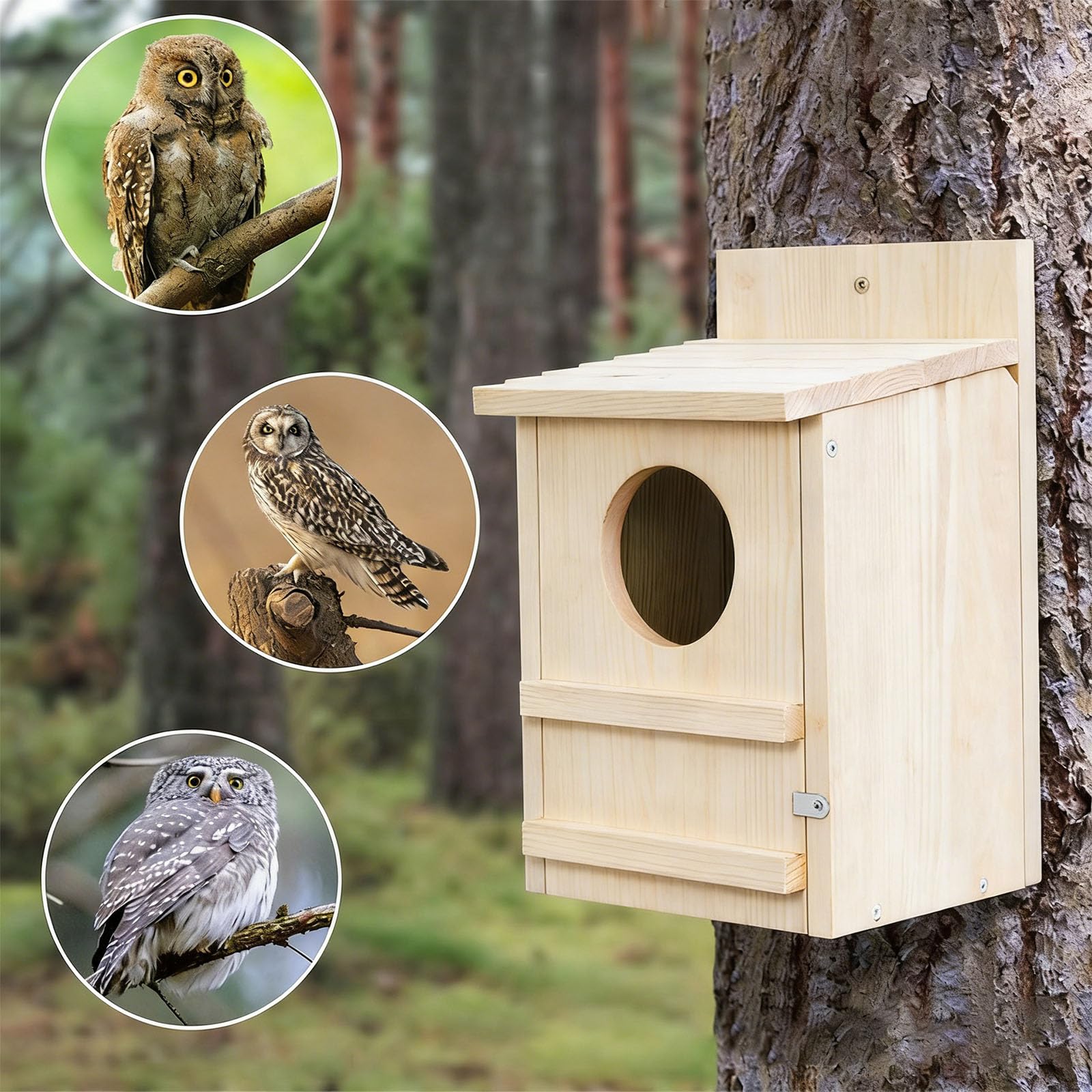 Mangiatoia per uccelli in legno con supporto per albero per decorazione da giardino all'aperto, casetta per gufi, per osservare gli uccelli selvatici