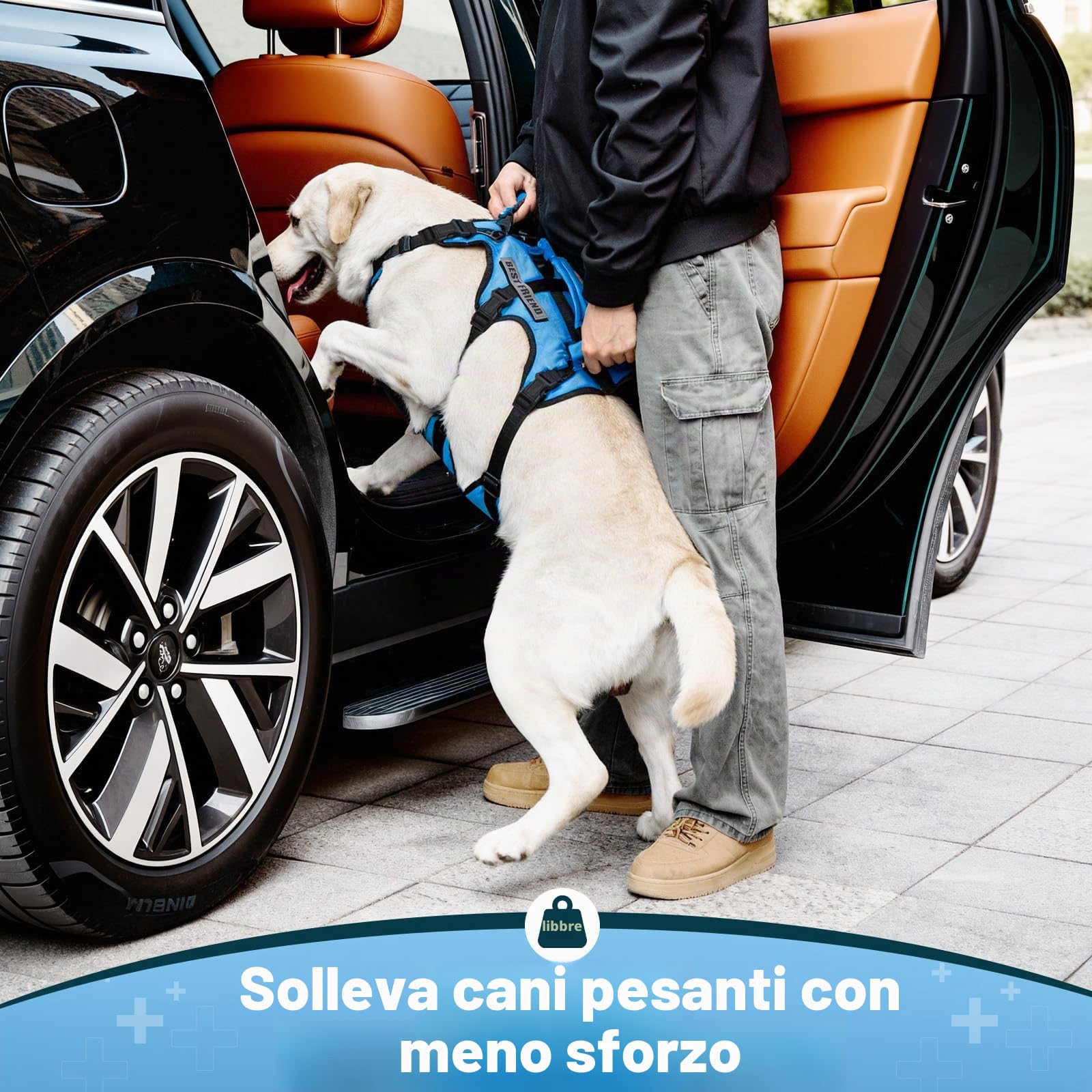 imbracatura di sollevamento per cani medi, supporto completo con 3 maniglie e tracolla, aiuto mobilità per cani anziani con artrite, assistenza scale, blu, M