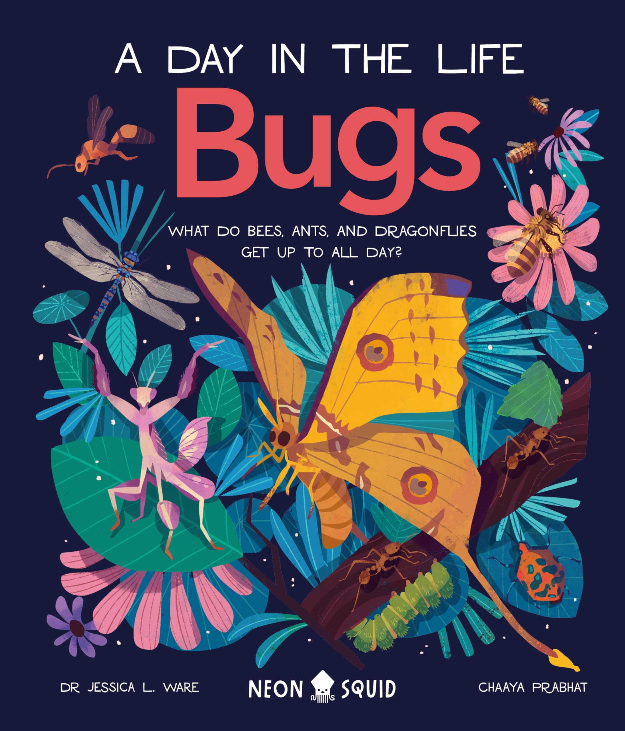Bugs (A Day in the Life): What Do Bees, Ants, and Dragonflies Get up to All Day?: 2 (A Day in the Life, 2) Hardcover – 5 April 2022