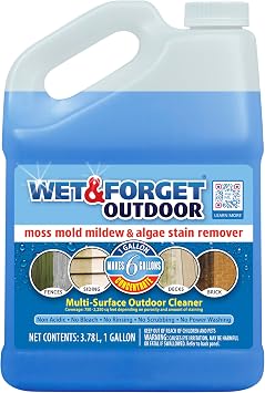 Wet & Forget Multi-Surface Outdoor Cleaner, Original, 128 Fluid Ounces