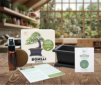 BOSSia品 81FiEG7PyVL._AC_UF350,